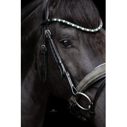 Anatomische Trense mit Wildleder