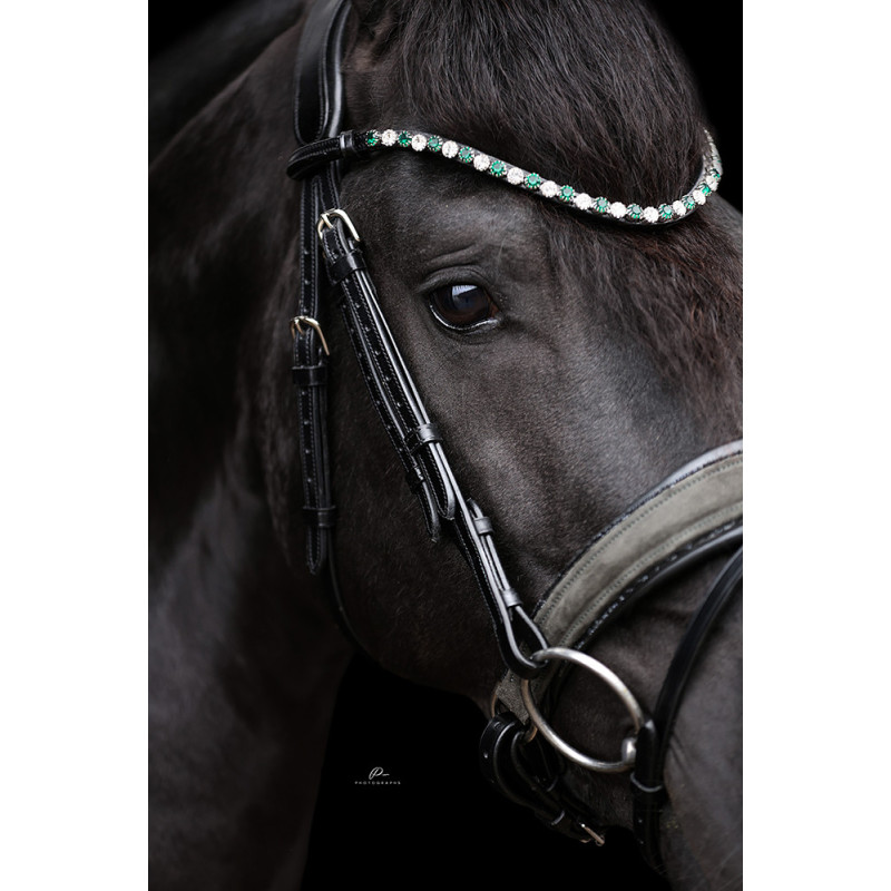 Anatomische Trense mit Wildleder