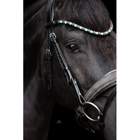 Anatomische Trense mit Wildleder