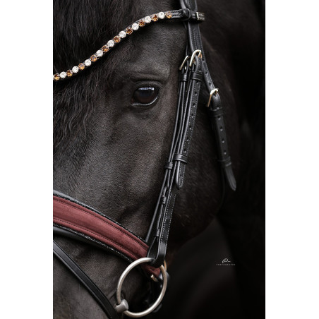 Anatomische Trense mit Wildleder