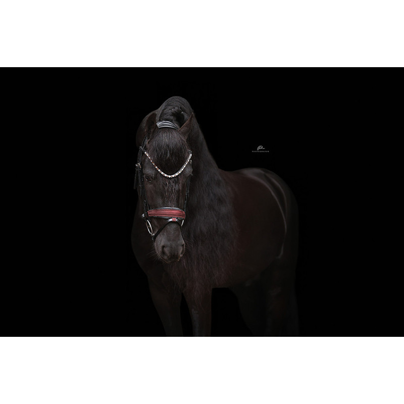 Anatomische Trense mit Wildleder