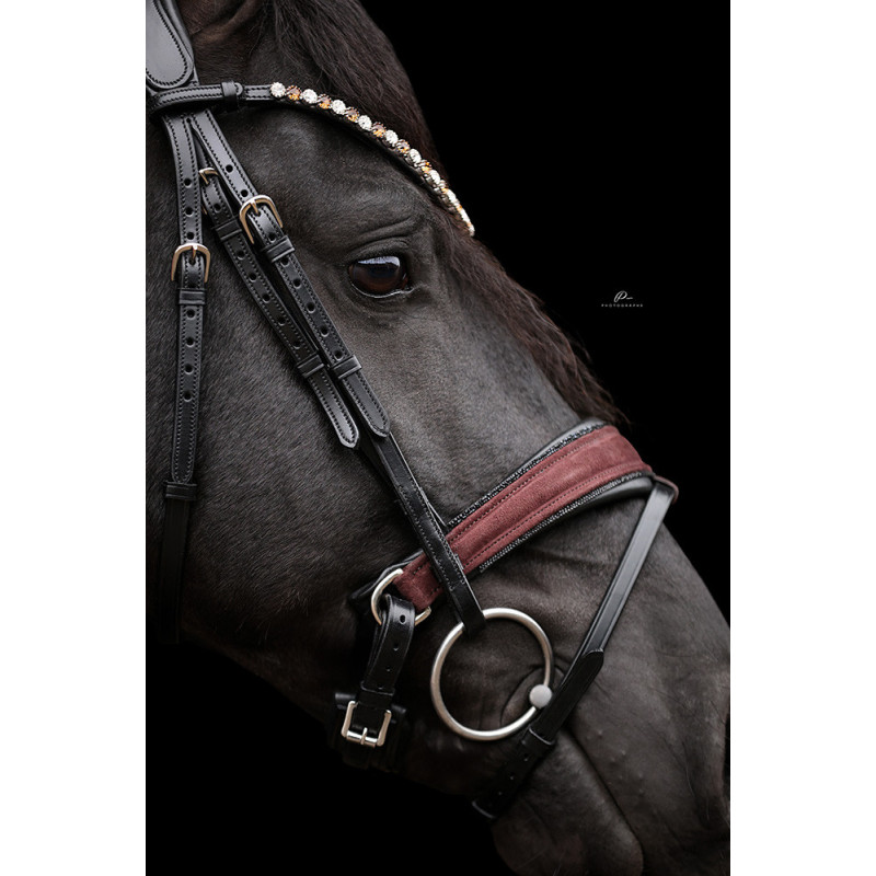 Anatomische Trense mit Wildleder