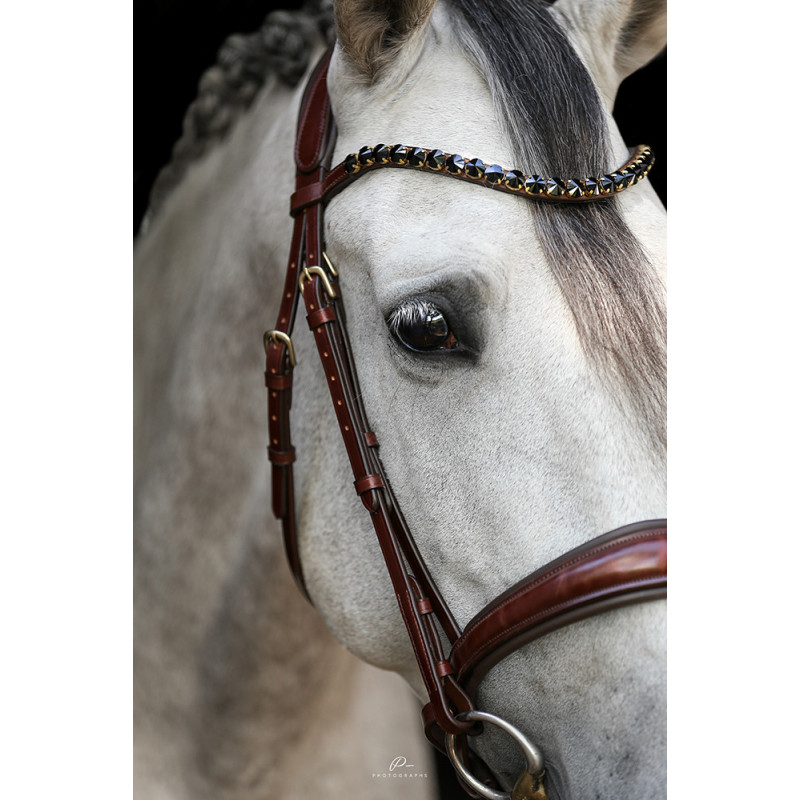 Anatomische Trense Bern Ohne Sperrriemen