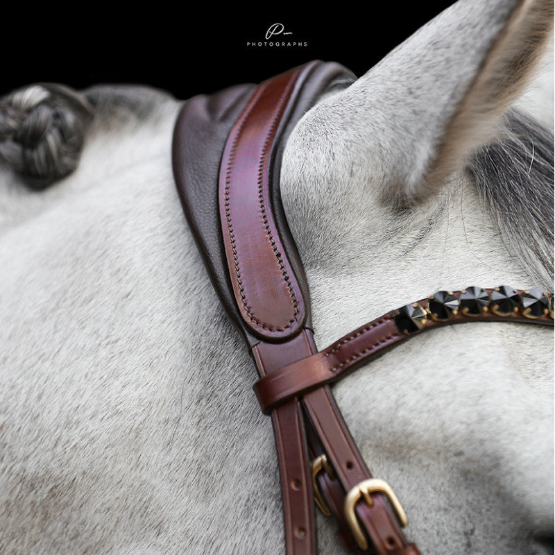 Anatomische Trense Bern Ohne Sperrriemen