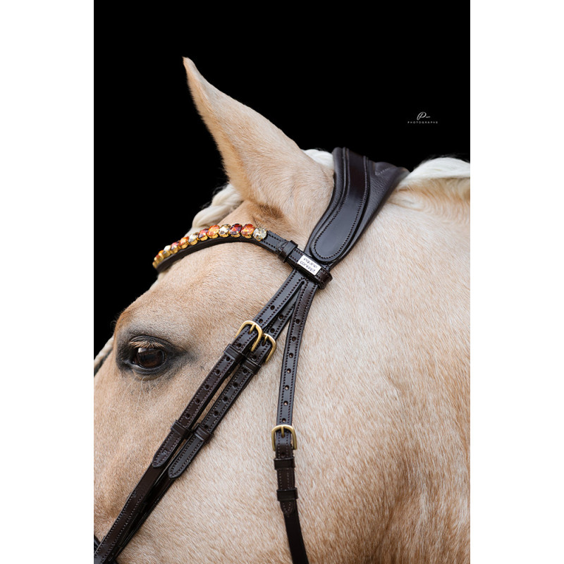 Anatomische Trense in Braun