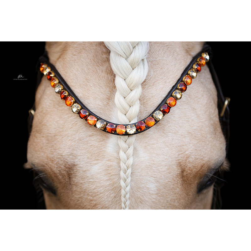 Anatomische Trense in Braun