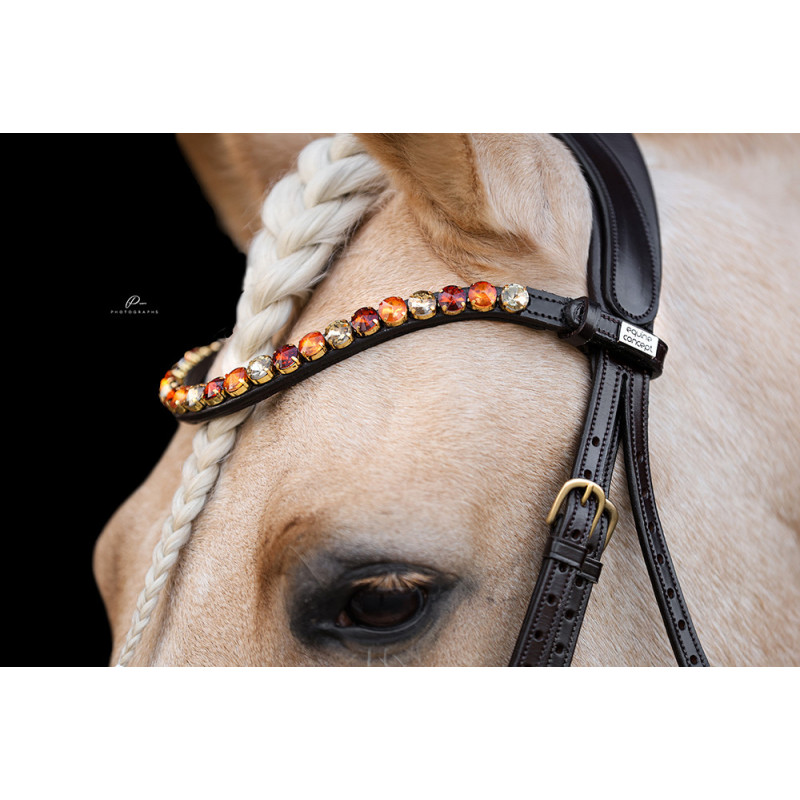 Anatomische Trense in Braun