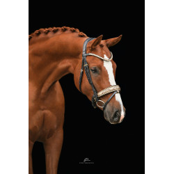 Anatomische Trense mit Schlangenleder Optik