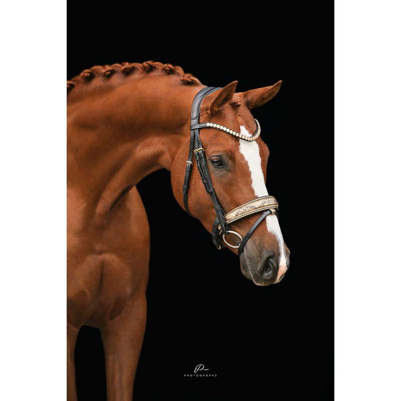 Anatomische Trense mit Schlangenleder Optik