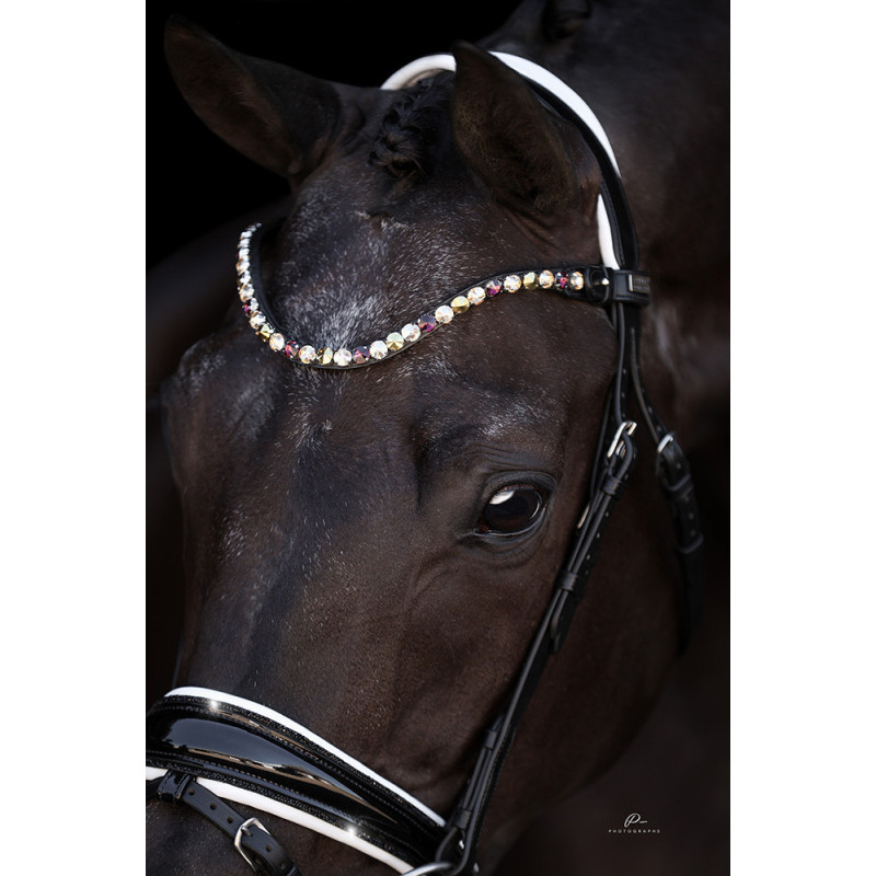 Anatomische Trense Las Vegas - weiß und mit Lack