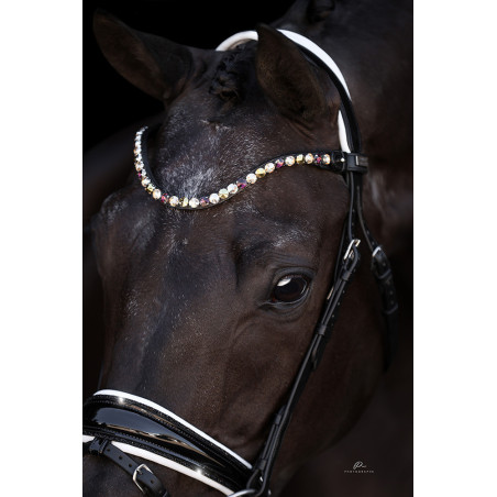 Anatomische Trense Las Vegas - weiß und mit Lack