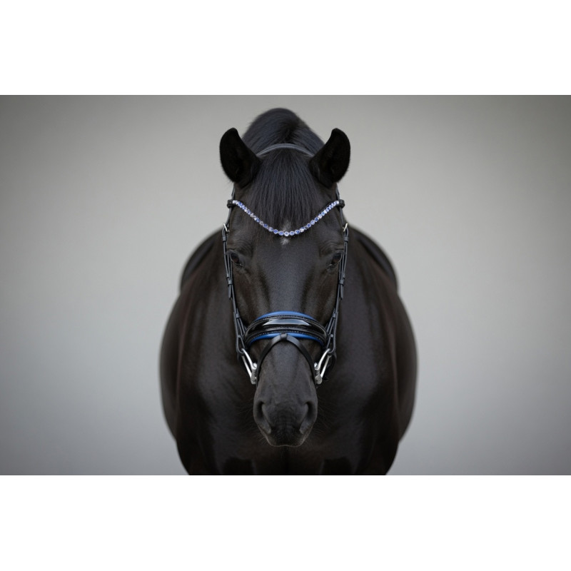 Premium Trense Venedig in blau