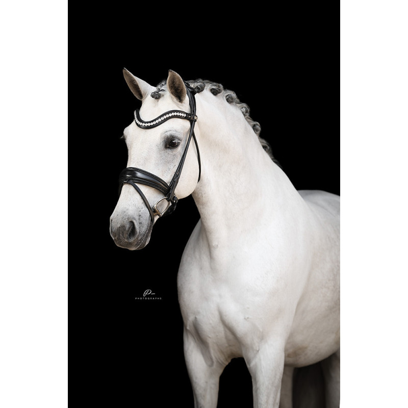 Im Genick verschnallte Trense Venedig - Anatomisch