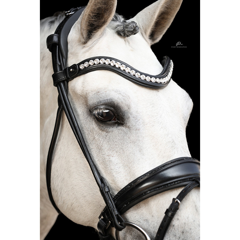 Im Genick verschnallte Trense Venedig - Anatomisch