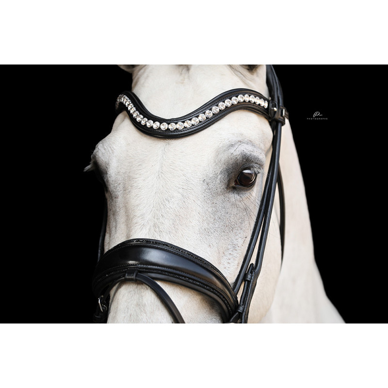 Im Genick verschnallte Trense Venedig - Anatomisch