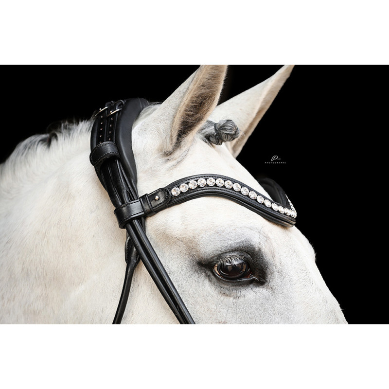 Im Genick verschnallte Trense Venedig - Anatomisch