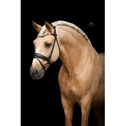 Im Genick verschnallte Trense Nizza - Strassborte