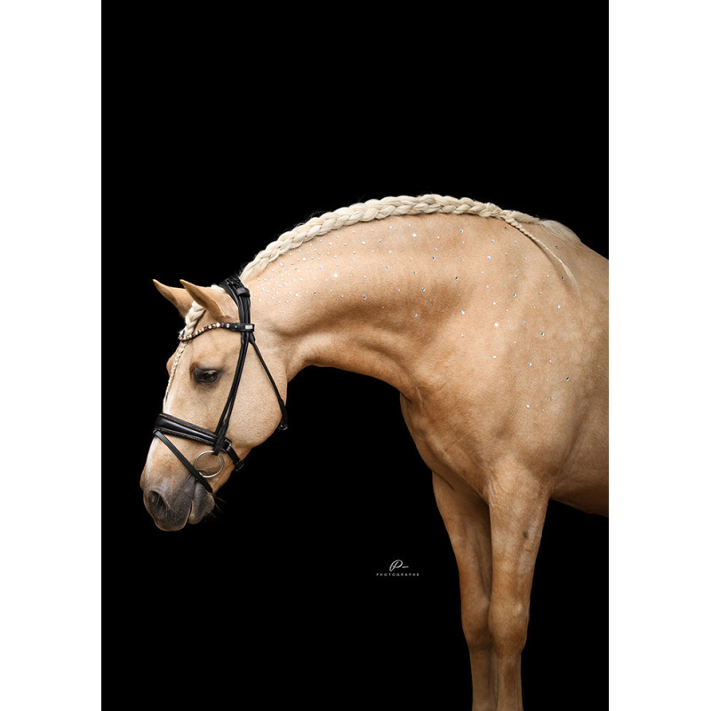 Im Genick verschnallte Trense Nizza - Strassborte