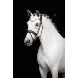 Im Genick verschnallte Trense Nizza - Strassborte