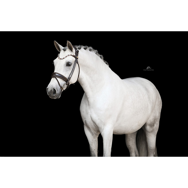 Im Genick verschnallte Trense Nizza - Strassborte