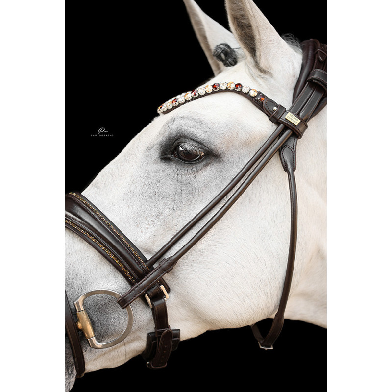 Im Genick verschnallte Trense Nizza - Strassborte