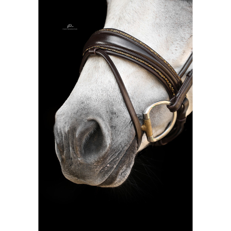 Im Genick verschnallte Trense Nizza - Strassborte