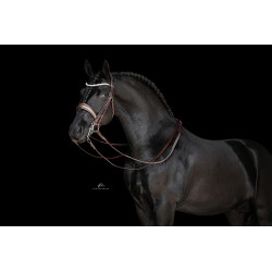 Braune Kandare Miami mit Glitzerlack und Gold