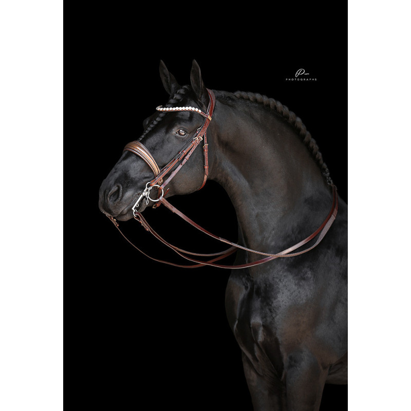 Braune Kandare Miami mit Glitzerlack und Gold