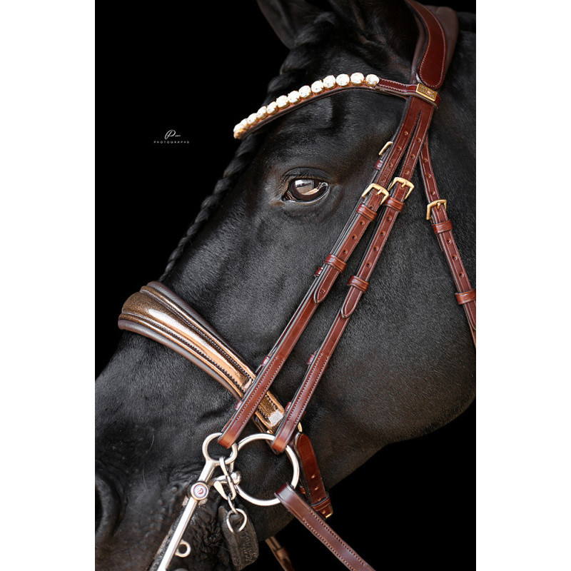 Braune Kandare Miami mit Glitzerlack und Gold