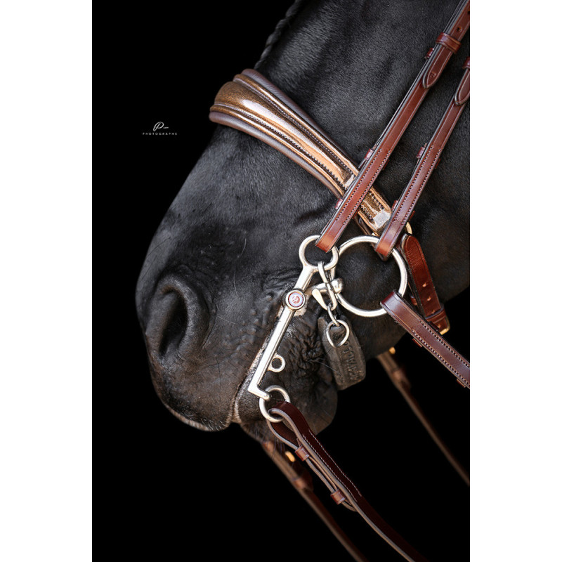 Braune Kandare Miami mit Glitzerlack und Gold