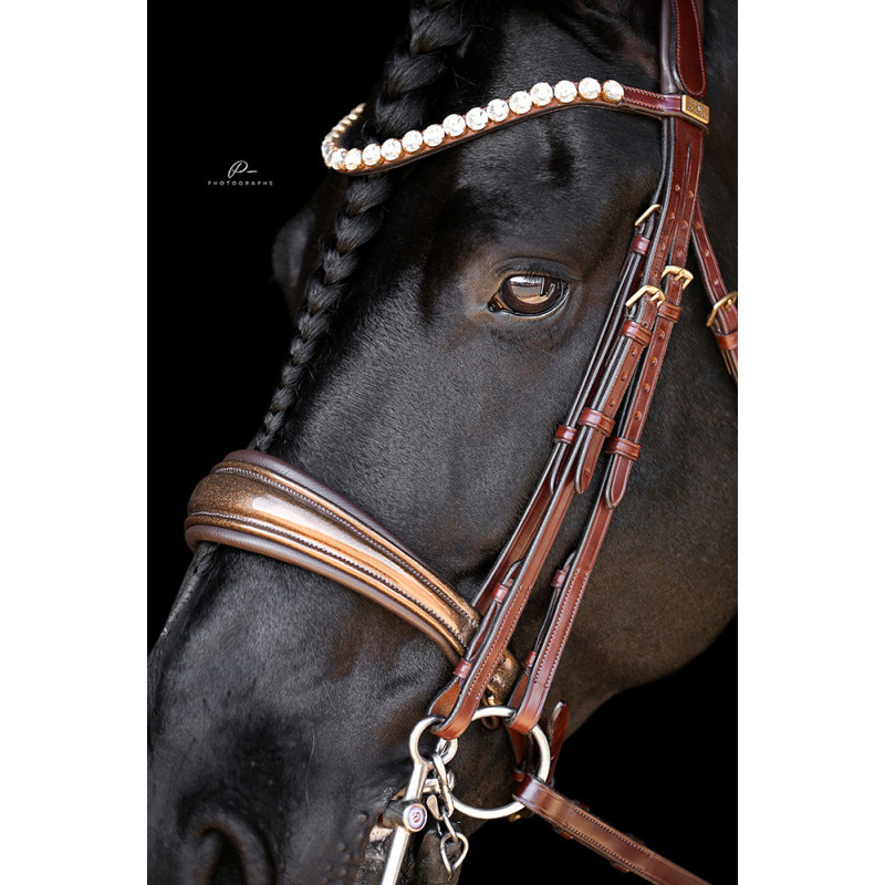 Braune Kandare Miami mit Glitzerlack und Gold